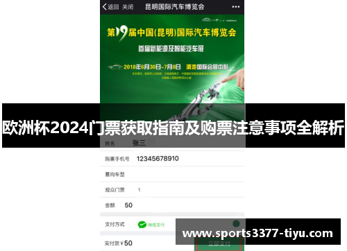 欧洲杯2024门票获取指南及购票注意事项全解析