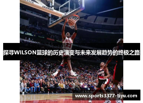 探寻WILSON篮球的历史演变与未来发展趋势的终极之路