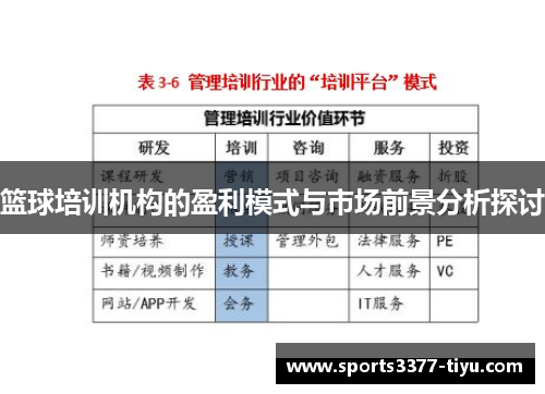 篮球培训机构的盈利模式与市场前景分析探讨